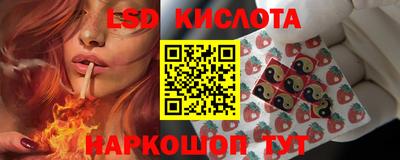 гидра Керчь