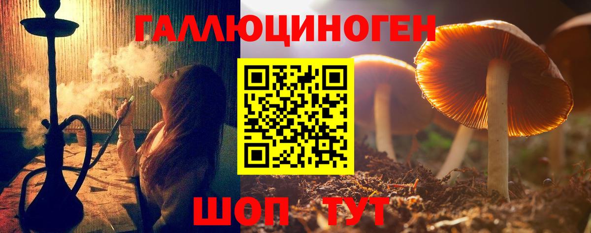 Осинники  Галлюциногенные грибы ЛСД  купить наркоту  Вход с VPN 